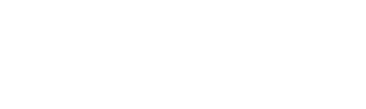 Amrev Technologies LLP